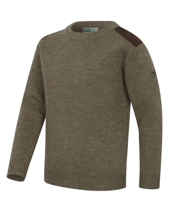 Hoggs Of Fife Melrose II Crew Pullover Meadow Green